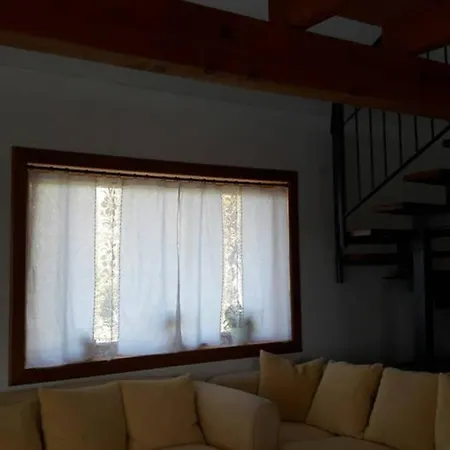 Wooden - Pure Nature, Peace And Rest