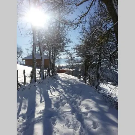 Vikendica Wooden - Pure Nature, Peace And Rest *